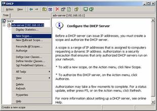 �˿����𻨱����ַ���Ƶ������Ƽ��������Ǳ������鸾���鸾...